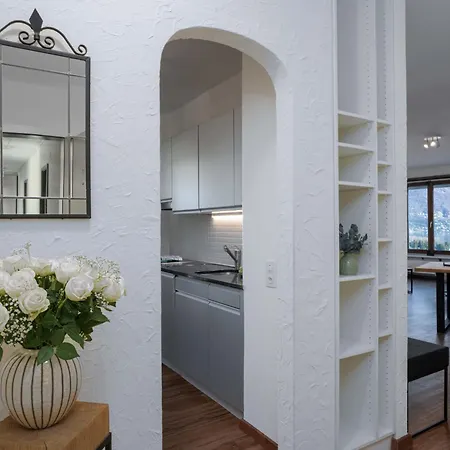 Classic-15 By Interhome * 阿斯科纳